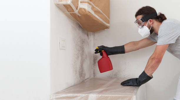 Professional Mold Remediation technician working in Columbus, NJ