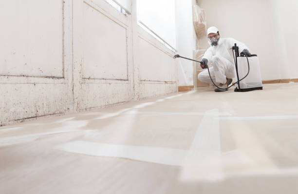 24/7 Emergency Mold Remediation experts in Columbus, NJ