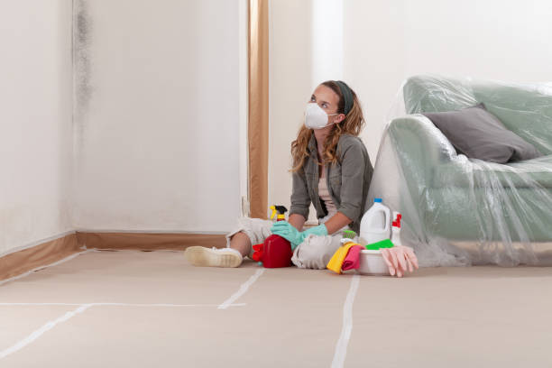Reliable Mold Remediation contractor in Columbus, NJ by Cheap Mold Removal