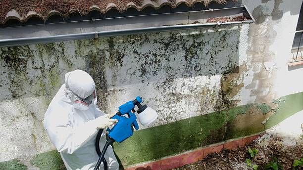 Top rated local Mold Remediation specialists in Columbus, NJ